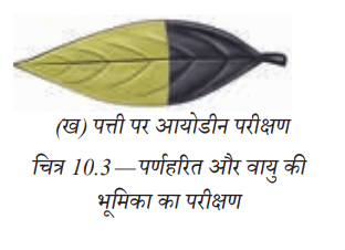 Screenshot 2025-10-03 135748