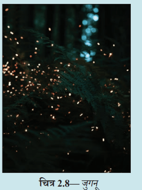 Screenshot 2025-11-26 112828