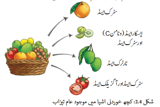 Screenshot 2025-11-11 at 09-42-13 gucu102.pdf