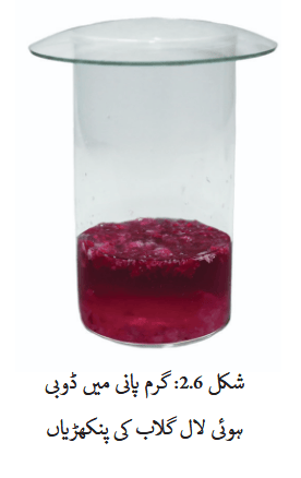 Screenshot 2025-11-11 at 09-42-20 gucu102.pdf
