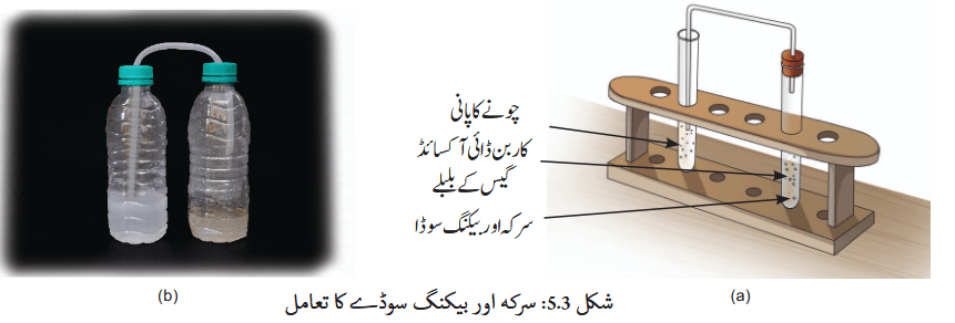 Screenshot 2025-11-12 at 16-42-37 Chapter 5.indd - gucu105.pdf