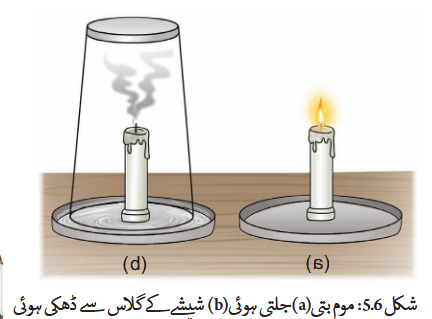 Screenshot 2025-11-12 at 16-43-00 Chapter 5.indd - gucu105.pdf