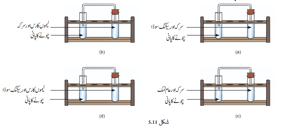 Screenshot 2025-11-12 at 16-44-43 Chapter 5.indd - gucu105.pdf