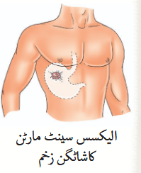 Screenshot 2025-11-14 at 14-55-51 gucu109.pdf