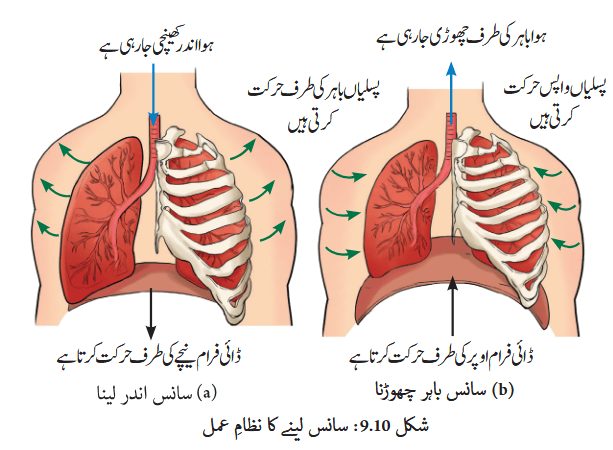 Screenshot 2025-11-14 at 14-56-43 gucu109.pdf