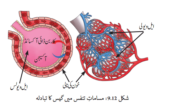 Screenshot 2025-11-14 at 14-57-04 gucu109.pdf