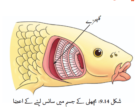 Screenshot 2025-11-14 at 14-57-18 gucu109.pdf