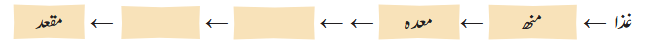 Screenshot 2025-11-14 at 14-57-32 gucu109.pdf