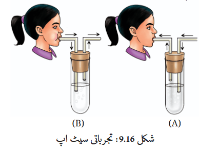Screenshot 2025-11-14 at 14-57-52 gucu109.pdf