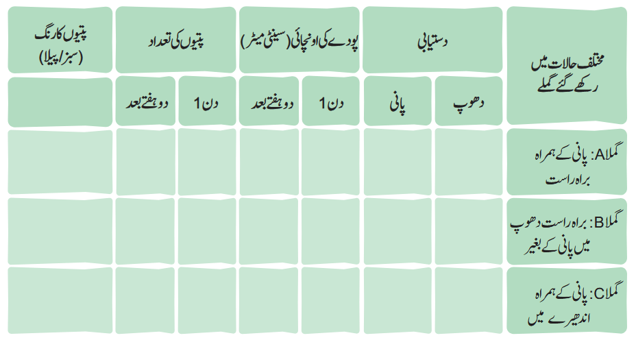 Screenshot 2025-11-18 at 11-58-02 gucu110.pdf