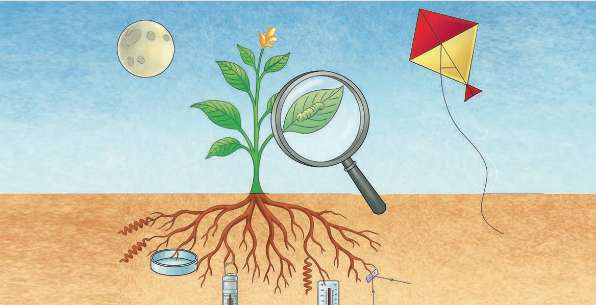 Plant and science tools