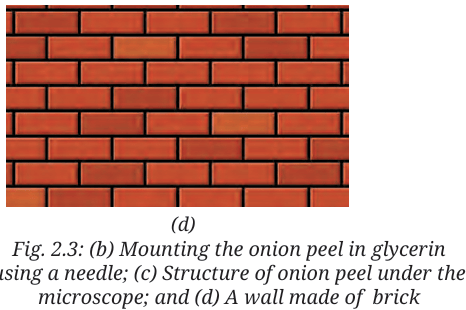 brick