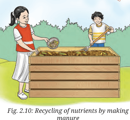 recycling