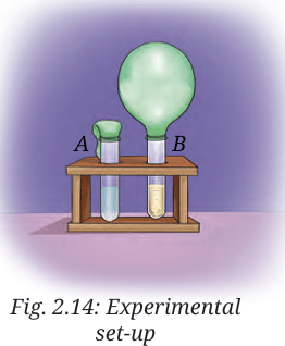 experimental setup