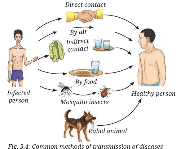 transmission of diseases
