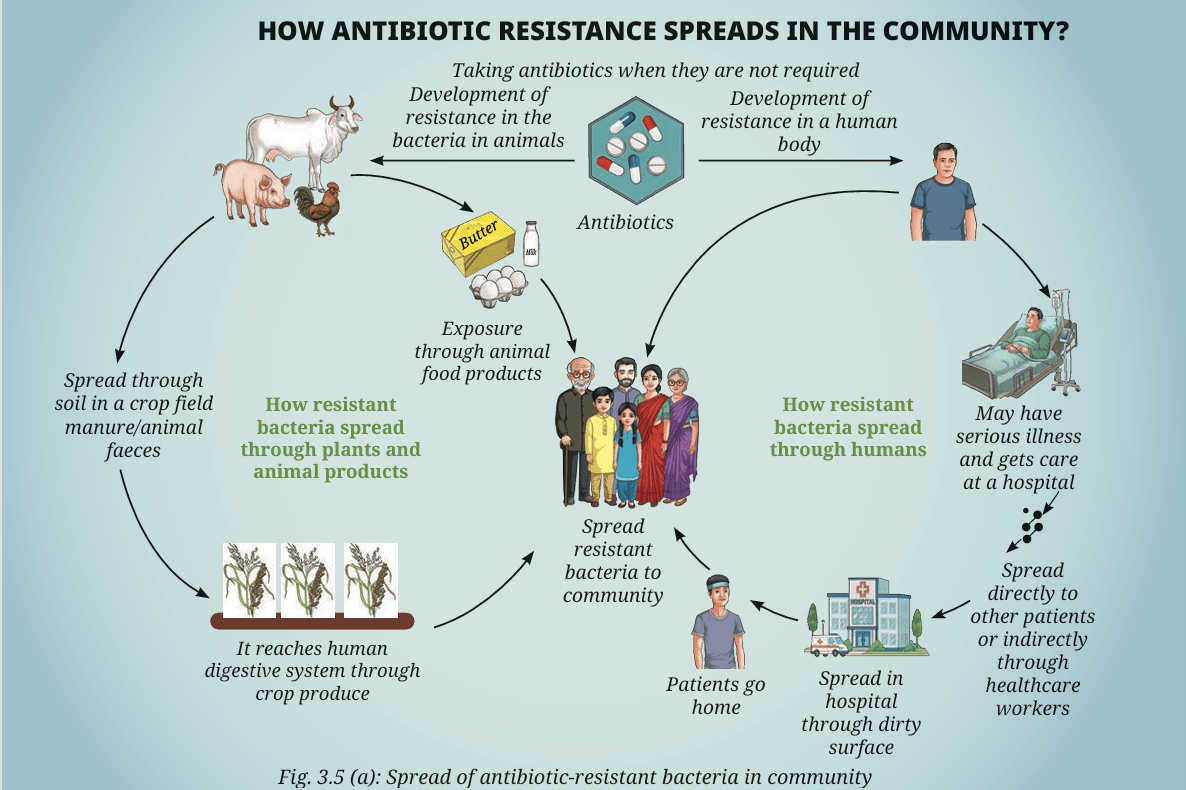 antibiotic resistance
