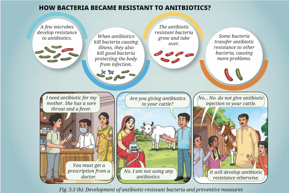 diseases