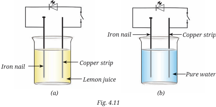 fig.