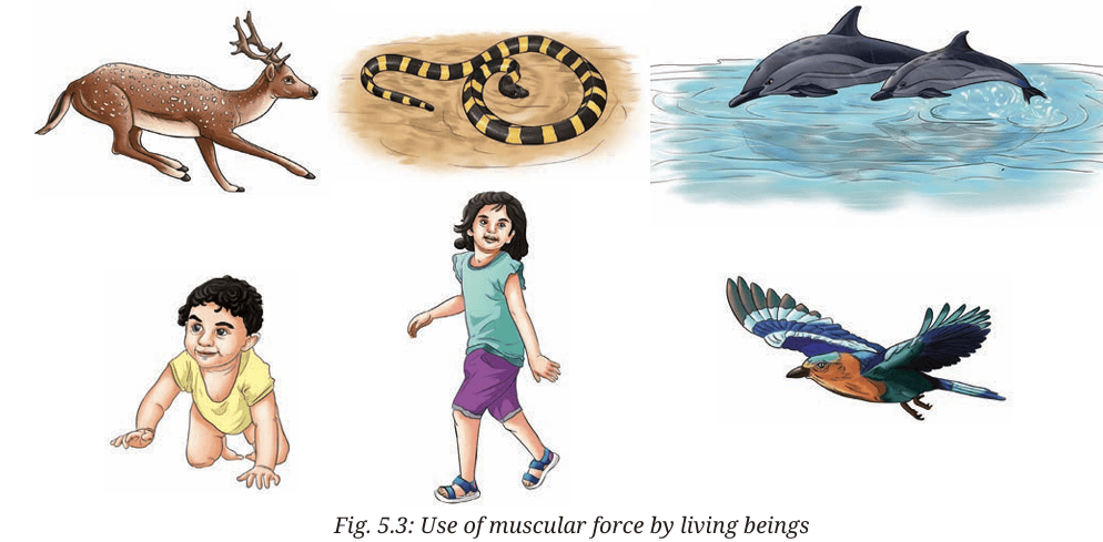 living beings