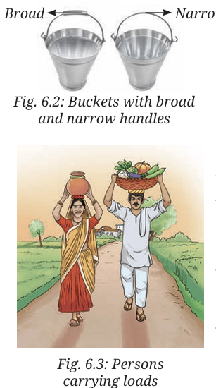 Plant and science tools