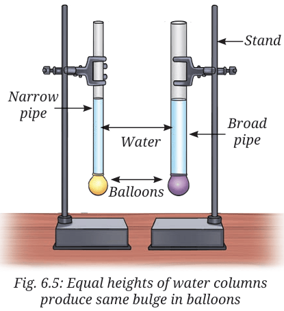 Plant and science tools