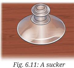 sucker
