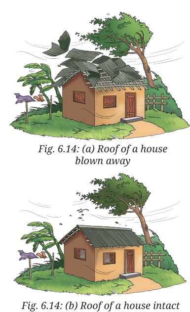 two houses