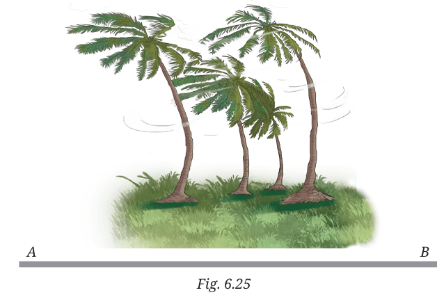 trees