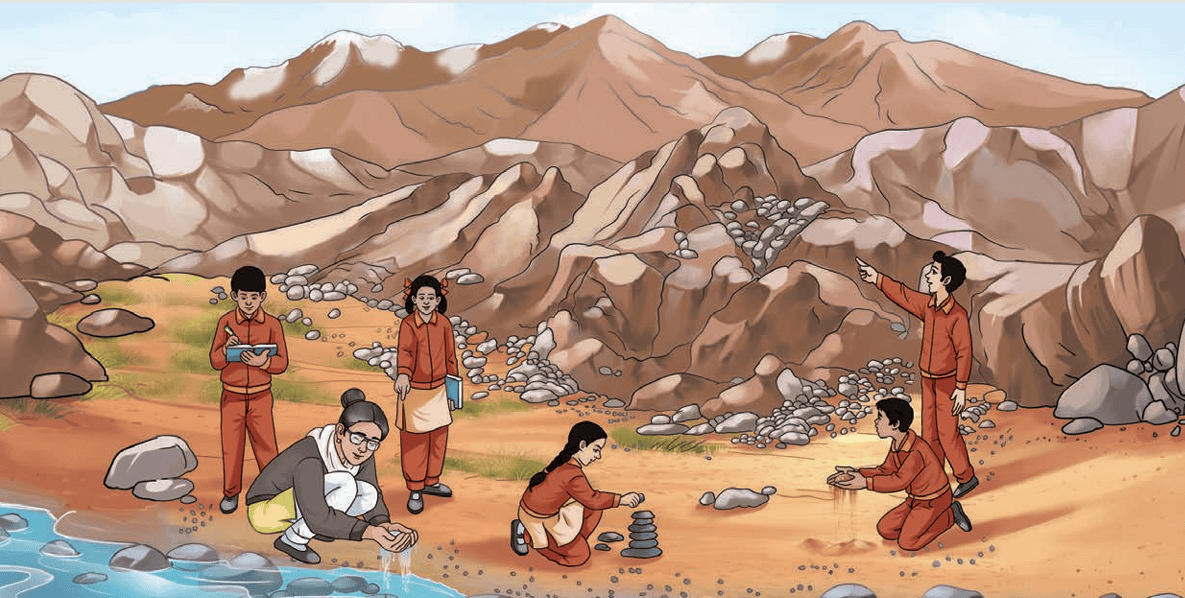 Plant and science tools