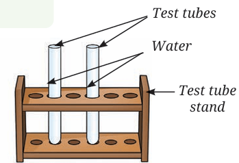 test tube