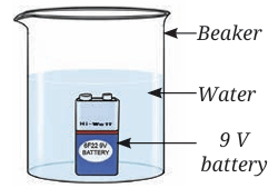 test tube