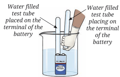 test tube