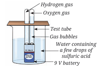 test tube