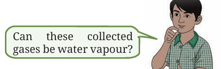 test tube