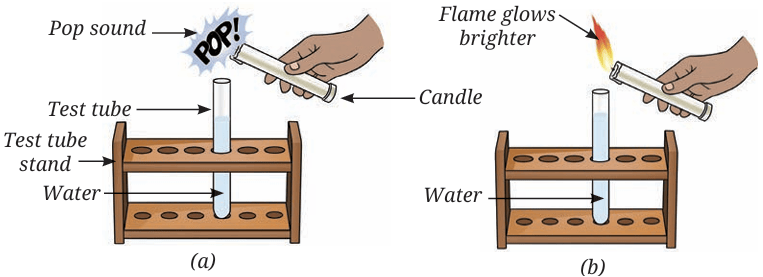 test tube