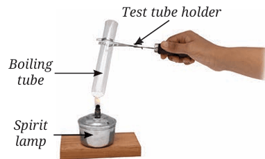 test tube