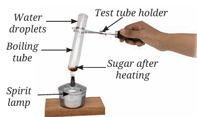 test tube