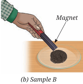 Responses of
Samples A and B to a
magnet
