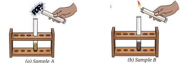 Fig. 8.20: Testing gases