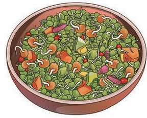sprouts
