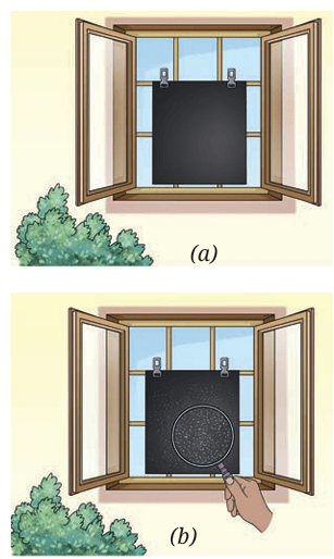 window
