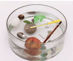 Fig. 9.9: Some objects float
while others sink in water