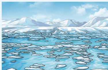 Fig. 9.23: Ice floats on water