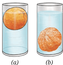 Fig. 9.25