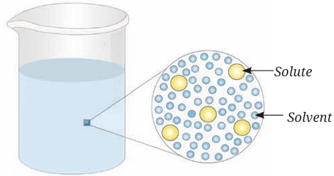 Fig. 9.3: Magnified schematic picture of a solute evenly distributed in a solvent