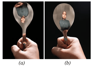   Fig. 10.1: Image formed in a shiny 
metallic spoon from its (a) Inner curved 
surface; (b) Outer curved surface
