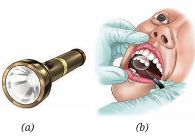 Fig. 10.6: Use of concave mirror (a) As a reflector of a torch; (b) By a dentist