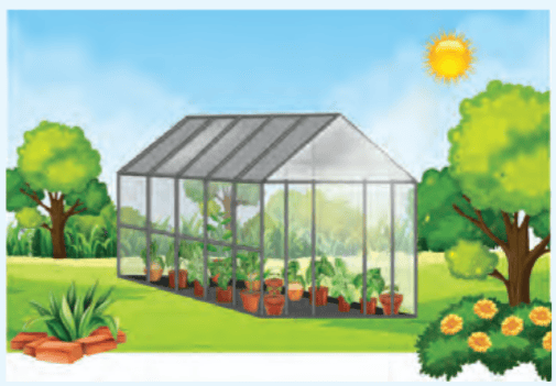 Greenhouse for plants