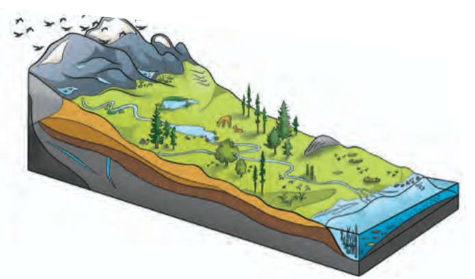 Geodiversity