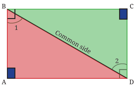 fig19